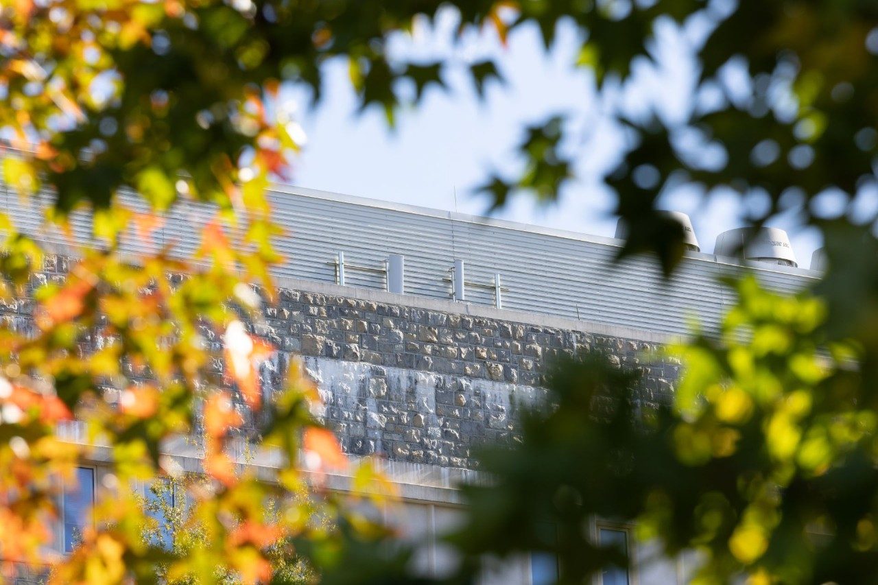 Outdoor Wireless Network Testbed