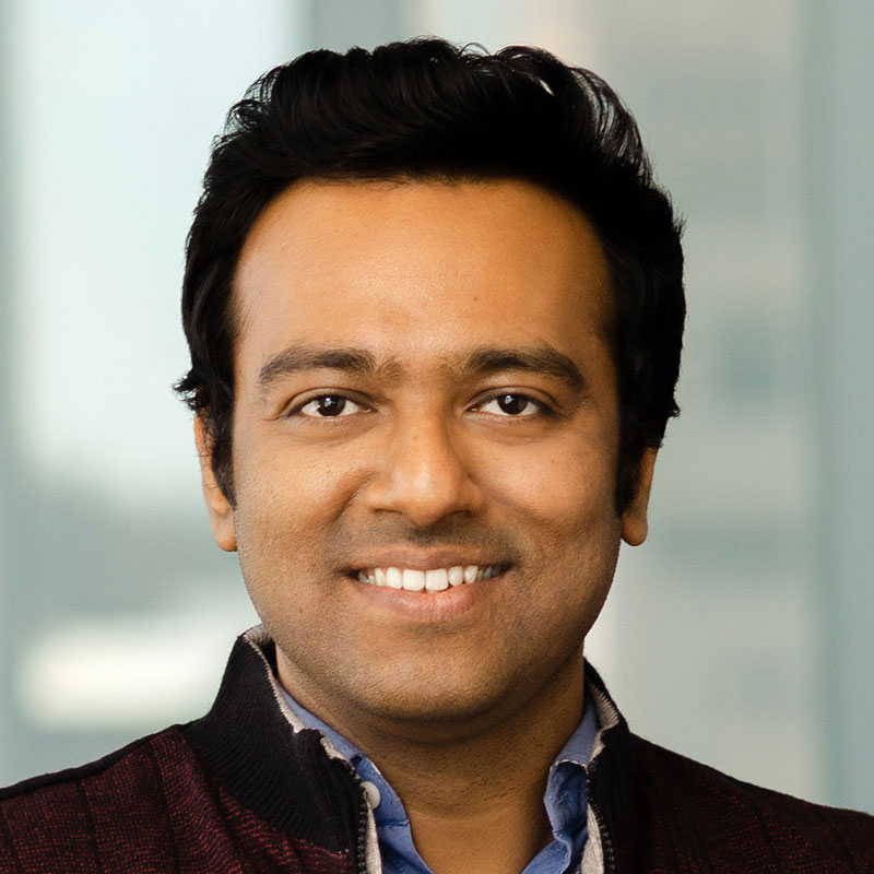 Portrait of Mayukh Roy Chowdhury